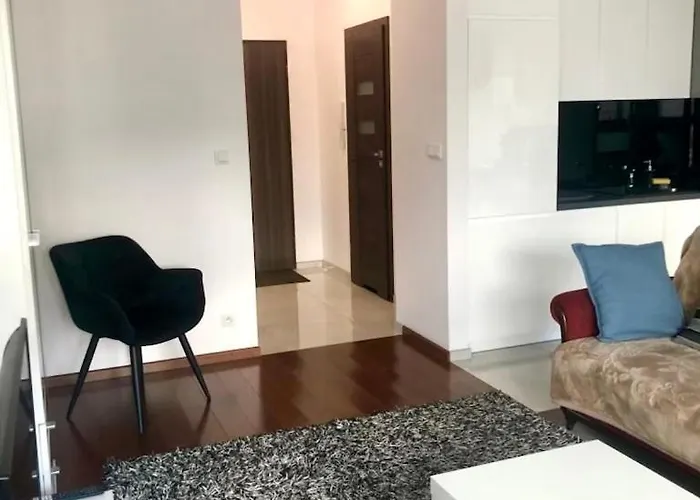 Apartment H&p Silver Warsaw